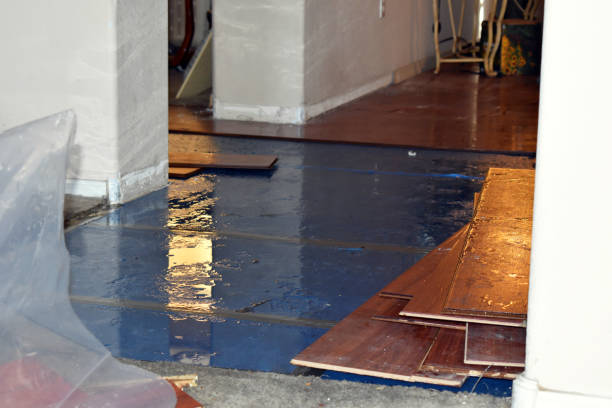 Professional Sewage Cleanup technician working in Round Pond, ME